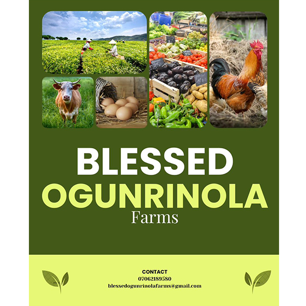 Blessed Ogunrinola