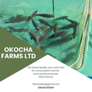 Okocha Farms Ltd